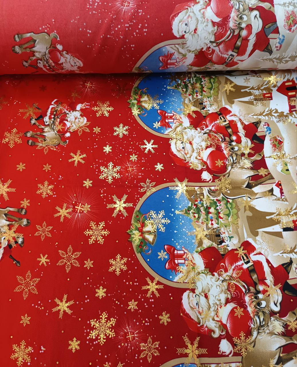 Bistrech Con Brillo 6