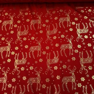 Bistrech Con Brillo 11