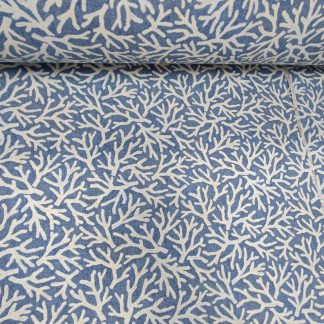 Loneta Española #62